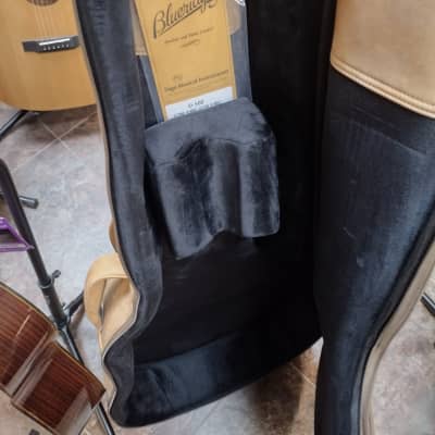 Gitane D-500 "D" hole Gypsy Jazz Guitar 2023 - High Gloss Finish *Leather Gig Bag Included* image 7