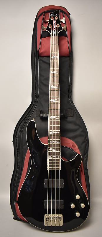 Schecter bass gig online bag