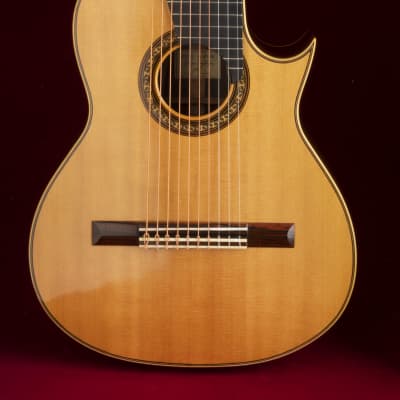 Immagine 1981 Sergei de Jonge 10 String Classical Guitar - Brazilian Rosewood, Luthier Letter of Appraisal - 2