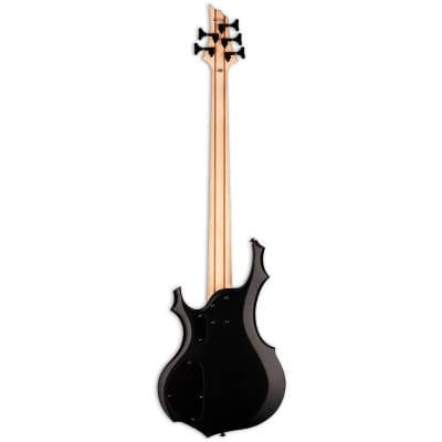 ESP LTD F-205 5-String Bass Guitar image 2