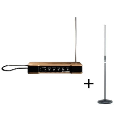 moog [GW Gold Rush Sale] Etherwave Theremin (MG EW THEREMIN) + Stand Set image 1