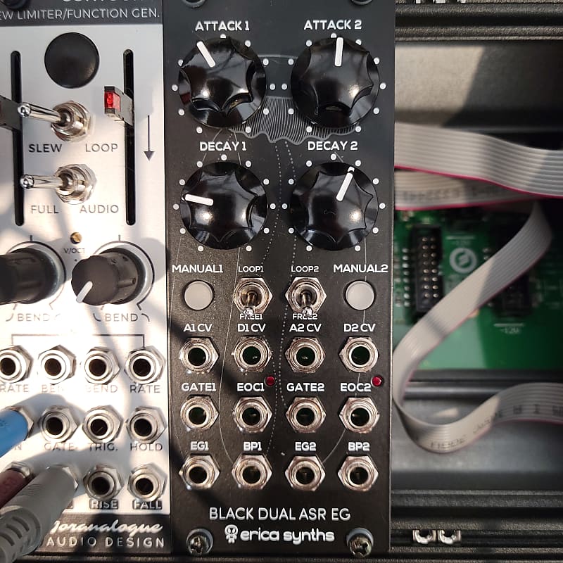 Erica Synths Black Dual ASR EG