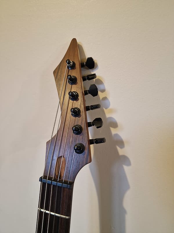 ギター siggery heresy 6 Custom Built Siggery Heresy 6 String Electric Guitar
