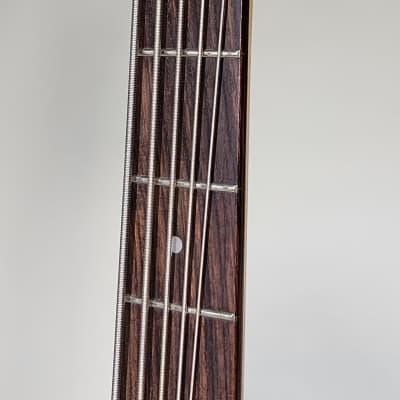 Alvarez AEB250TRD 1996 - Transparent Red - 5 String Bass image 8