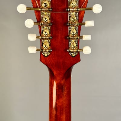 Eastman MDC805 Mandocello - Classic Red image 14