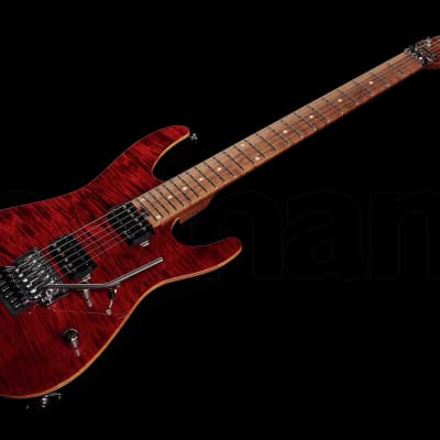 Harley Benton Fusion-III HH FR Roasted FCH Transparent Flamed Cherry image 9