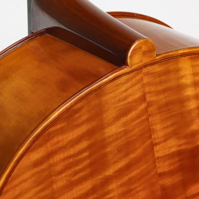 Eastman Otto Benjamin MC100 Cello *Used 2008 image 6