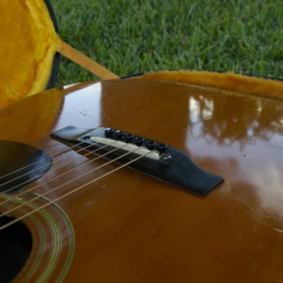 Trump Dreadnought with Vintage Case image 8