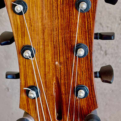 Marchione Semi-Hollow Maple / Mahogany Guitar  --   Brazilian Rosewood Fingerboard  -- image 5