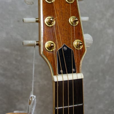 Boulder Creek ECDG-3N acoustic electric guitar image 2