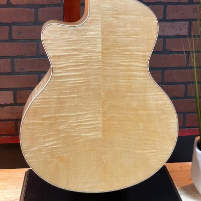 Seagull Performer CW Mini Jumbo HG Presys II with Bag Acoustic Electric Guitar image 6