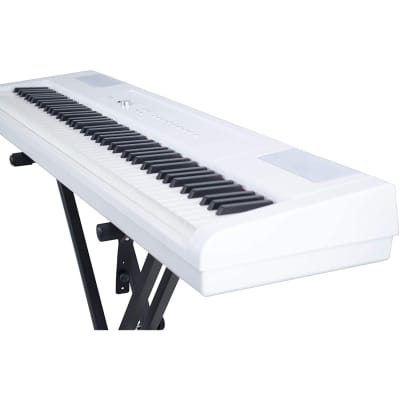 Artesia PA-88H 88-Key Weighted Hammer Action Digital Piano White w/ Sustain Pedal & Stand image 3