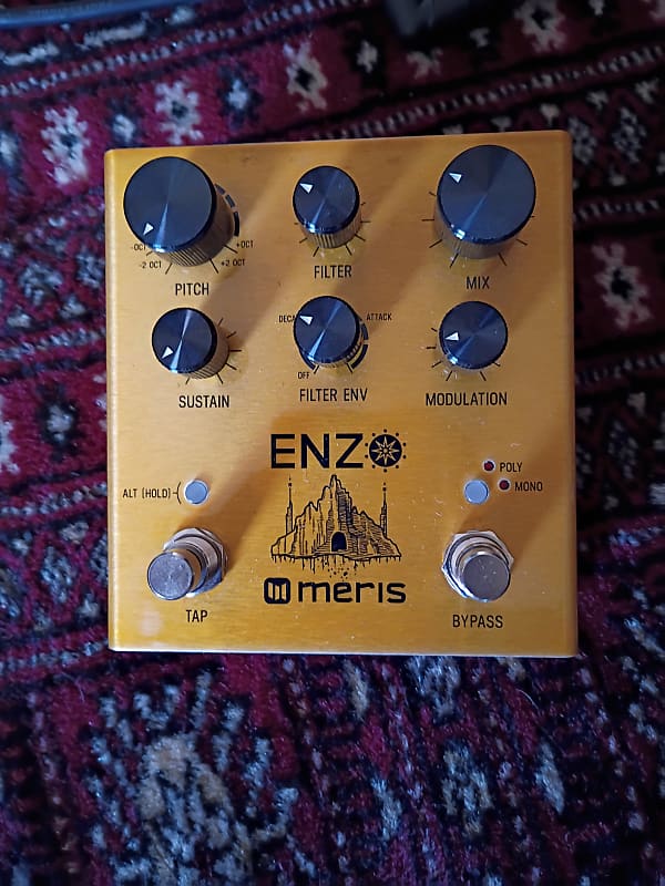 Meris Enzo