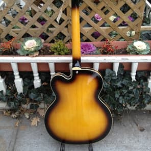 DiPinto Bacchus new sunburst Archtop w/Dipinto Case image 9