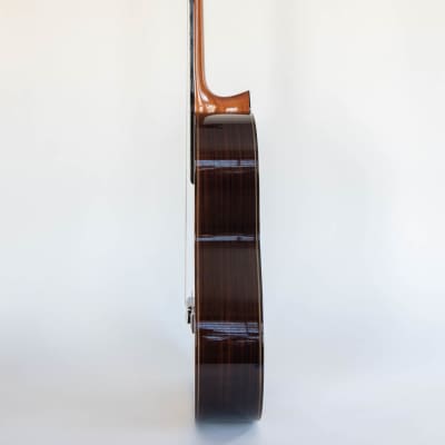 Asturias Custom S 630mm Spruce/Indian Rosewood 2020 Classical Guitar image 3