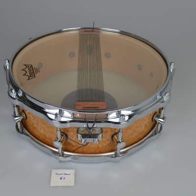 Sonor Delite snare drum S1405M Birdseye Amber 14" x 5" image 12