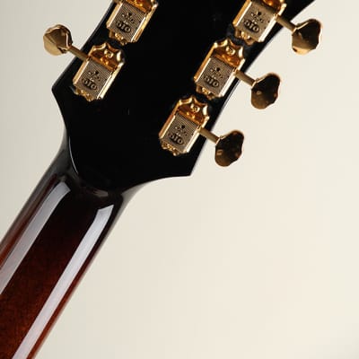 Rozeo Ladybug SM-C DHB Left Hand Vintage Sunburst【S/N:RZO486 