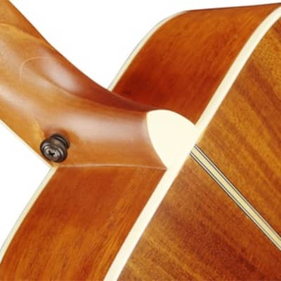 Alba By Corbin ASDG315 Mini-Style Acoustic Guitar image 6