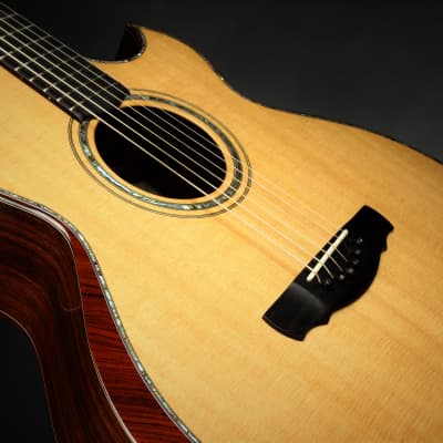 Ryan Cathedral Grand Fingerstyle - Sitka Spruce & Indian Rosewood 2003 *VIDEO* image 17
