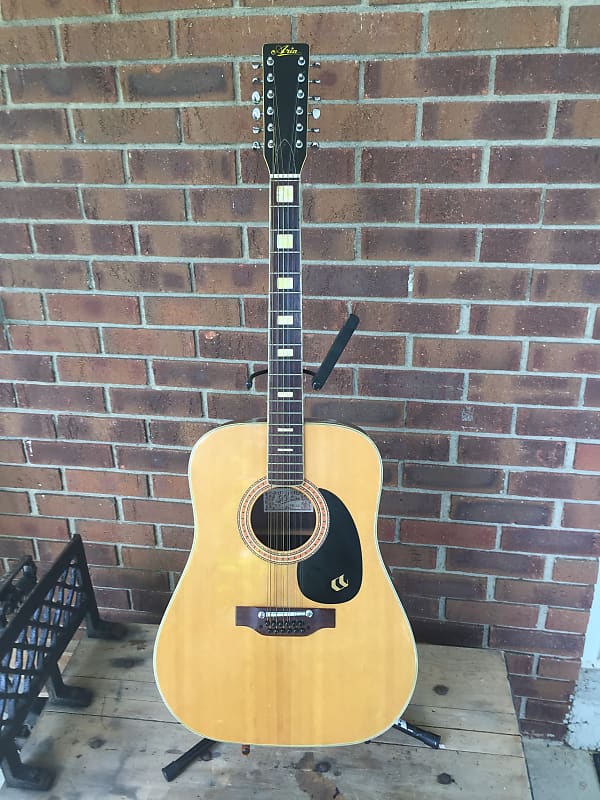 Aria 12 string deals guitar