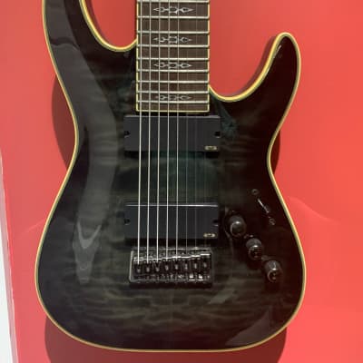 Schecter Hellraiser Special C-8