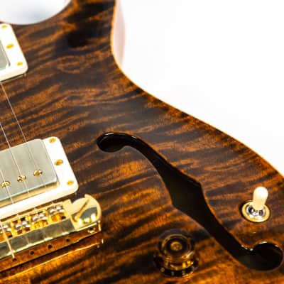 PRS Paul Reed Smith Hollowbody II Owned by Nils Lofgren image 11