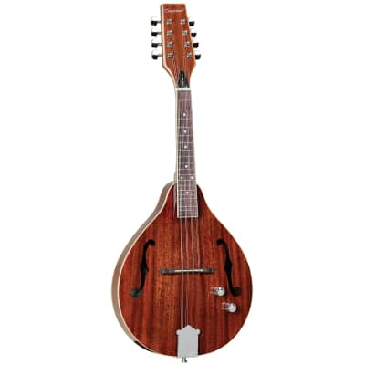 Tanglewood TWMTMHSTE Solid Mahogany Top Mandolin with Pickup for sale