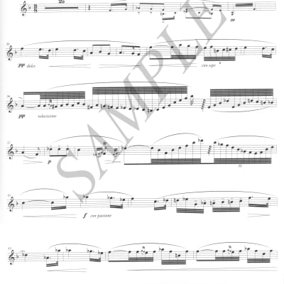 Pasculli - Traviata Fantasia - for oboe and piano + humor drawing print image 2