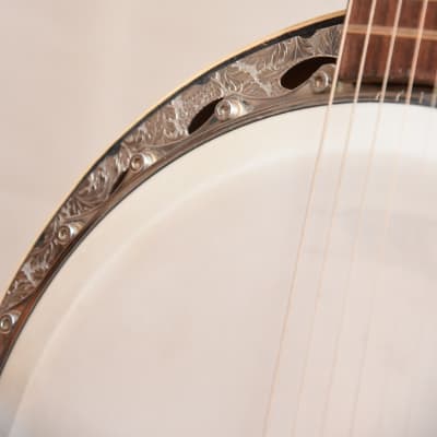 Höfner Banjo – 1960s German Vintage Banjitar Guitar image 7