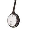 Deering Classic Goodtime Two Resonator 5-string banjo