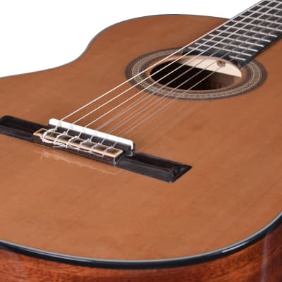 Artist HG39303 Classical Guitar with Truss Rod - Solid Cedar Top image 5