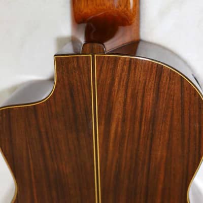 Bartolex SLC10CEL Classical 10-String Harp Guitar, w/Pickup, Cutaway, Sound Port, w/Softshell Case image 13