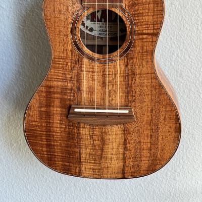 Shelley D. Park Moodyville Concert Ukulele Brazilian Cherry | Reverb