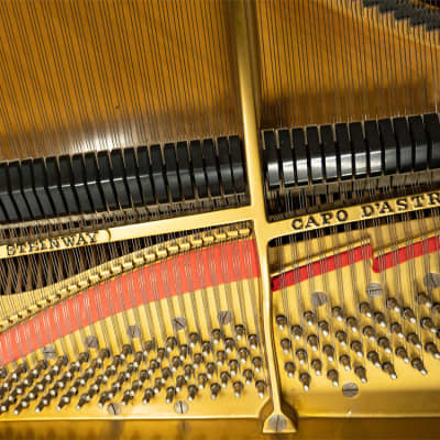 Steinway & Sons L WAL Grand Piano | Satin Brown | SN: 259149 image 5