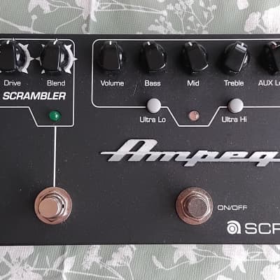 はなちゃん　Ampeg SCR-DI Ampeg