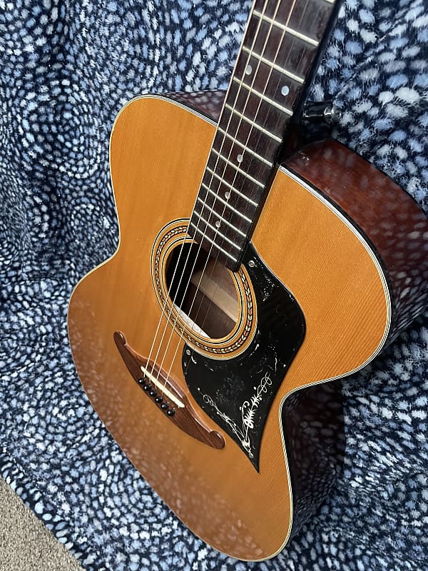 Silvertone シルバートーン 12弦アコースティックギター Model 319 ...
