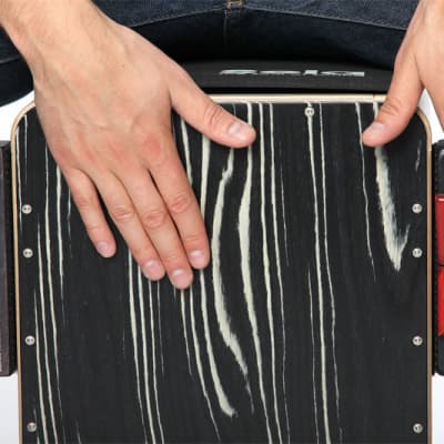 SELA SE 055 Tic Tac 3in1 Multi-Percussion-Instrument image 2