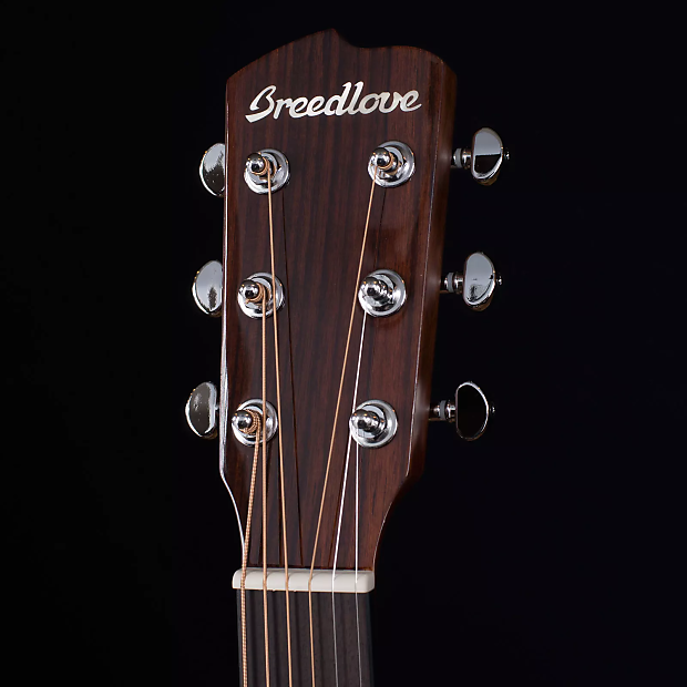Breedlove Passport Parlor Acoustic Guitar image 5