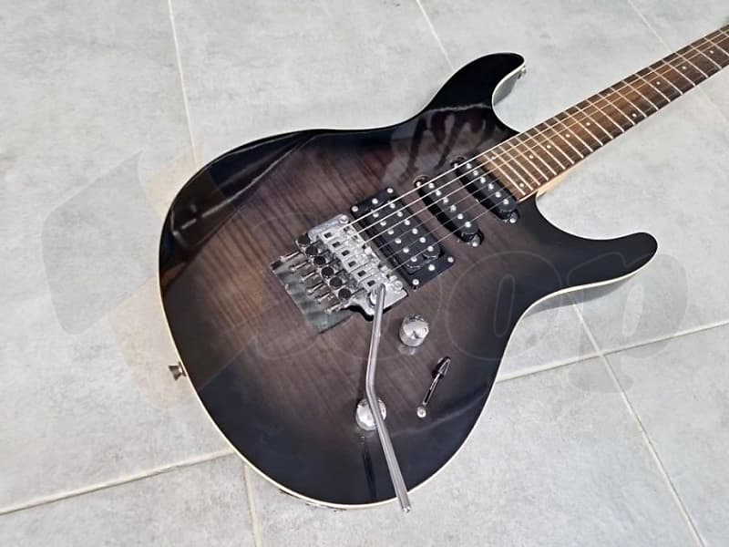 s*n様 Washburn RX25 虎目　シースルーブラック　Floyd Ro Washburn RX Series RX25FBSB Electric Guitar : Amazon.ca