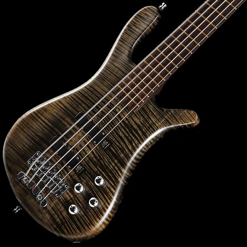 Warwick Streamer LX 5st AAA Flamed Maple Top (Nirvana Black