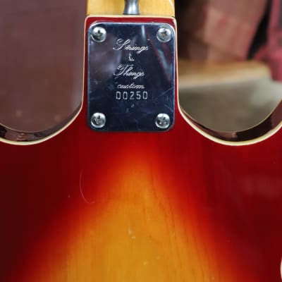 Strings n Things Custom Bluesmaster  1983 Memphis image 3