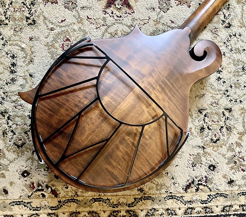 Tone-Gard for Mandola DolaGard-S image 1