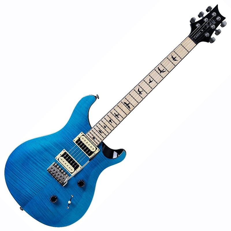 PRS Limited Edition SE Custom 24 with Maple Neck image 1