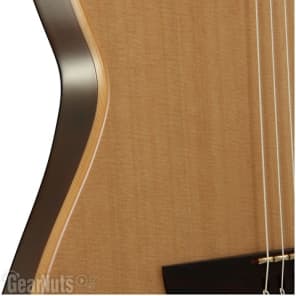 Godin ACS-SA Slim  Nylon String Acoustic-Electric Guitar - Natural Semi-Gloss image 5