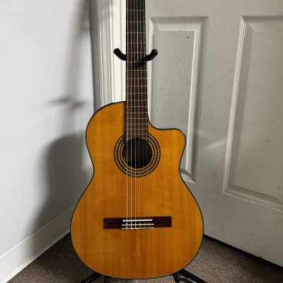 Takamine EG522C Nylon Classical Cutaway Acoustic-Electric Guitar - Natural for sale