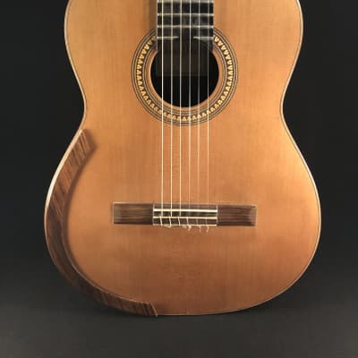 2010 David Pace "Double Top" Classical  Guitar for sale