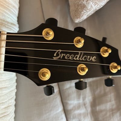 Breedlove Limited Edition Oregon Concert CE Acoustic-electric Guitar - White Sand Myrtlewood (2021) image 4