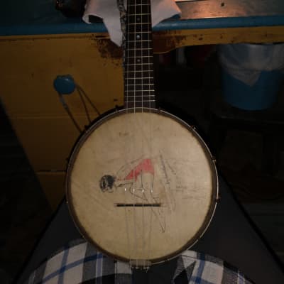 Johnson Resonator Mandolin | Reverb