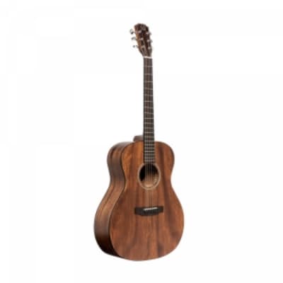 Acoustic Guitar JAMES NELIGAN Dov ACFI + Fishman Pickup - solid mahogany top image 1