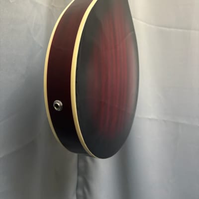 Savannah SA-115-E A-Model Electric Mandolin image 9